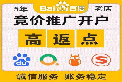 百度推广案例：精准广告投放策略解析